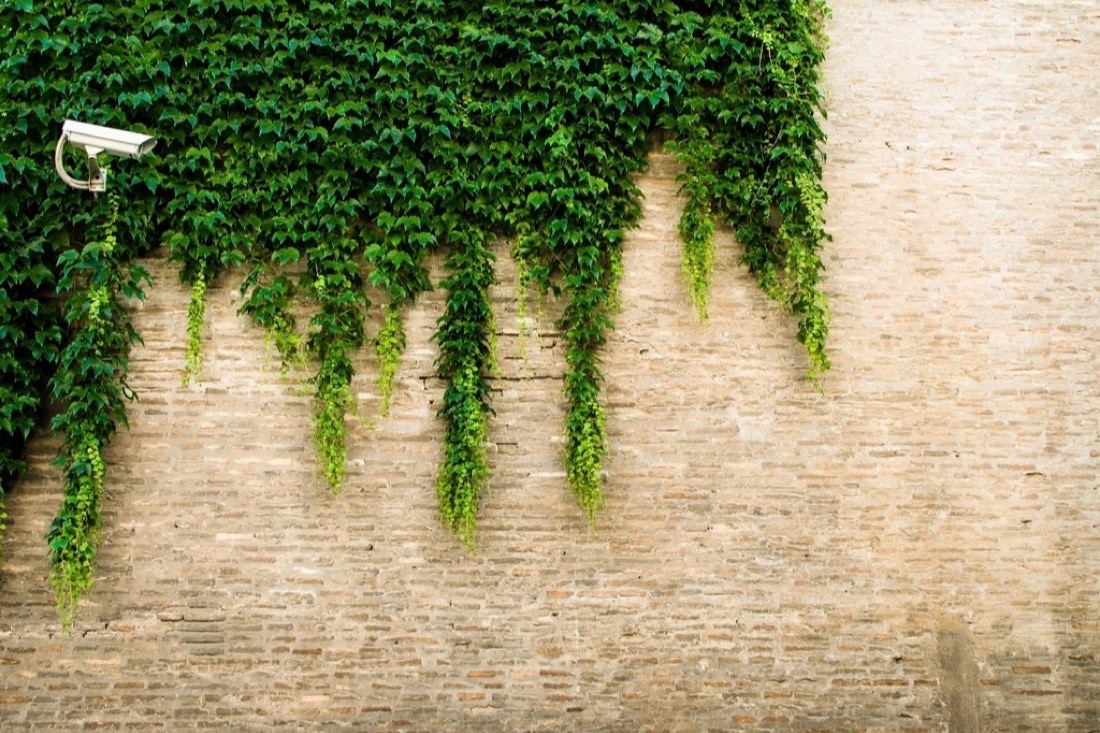 Encaixada num muro de jardim, a transmitir diretamente para o seu ambiente de trabalho